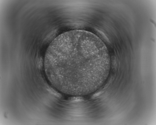 X0000095550077200801111503