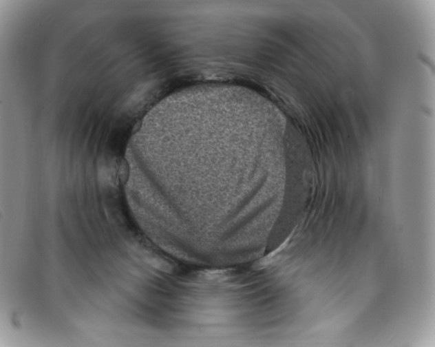 X0000095550078200801111503