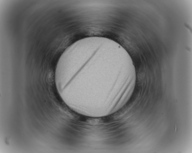 X0000095550079200801111503