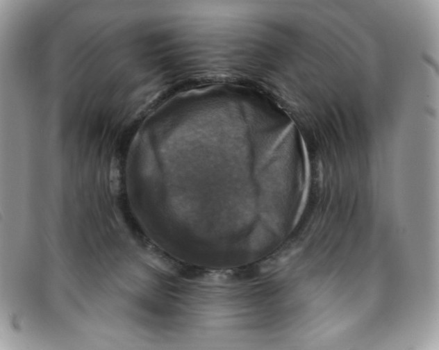 X0000095550080200801111503