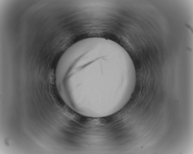 X0000095550083200801111503