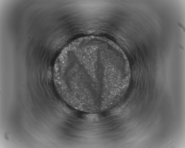 X0000095550085200801111503