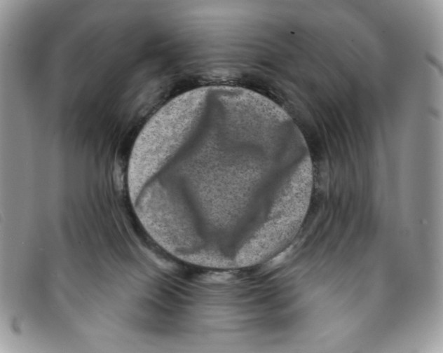 X0000095550086200801111503