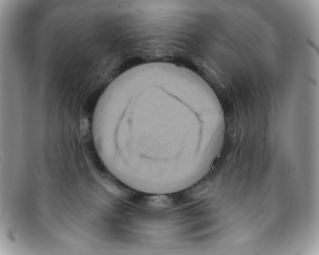 X0000095550087200801111503