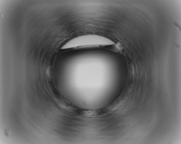 X0000095550088200801111503