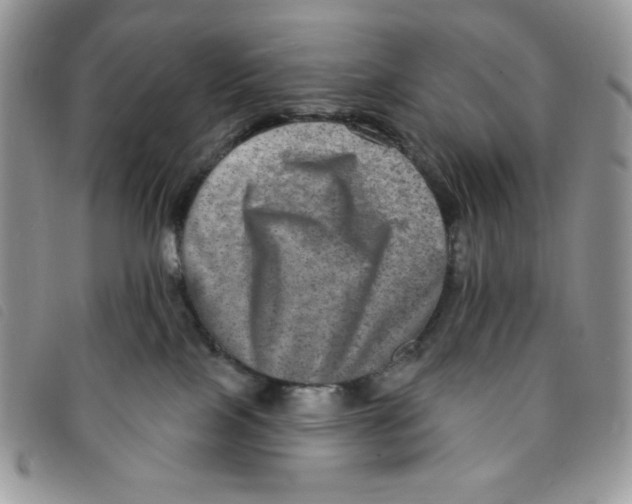 X0000095550089200801111503