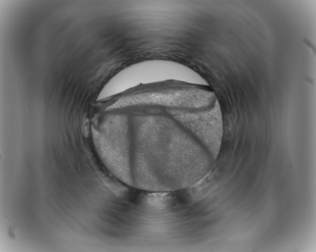 X0000095550090200801111503