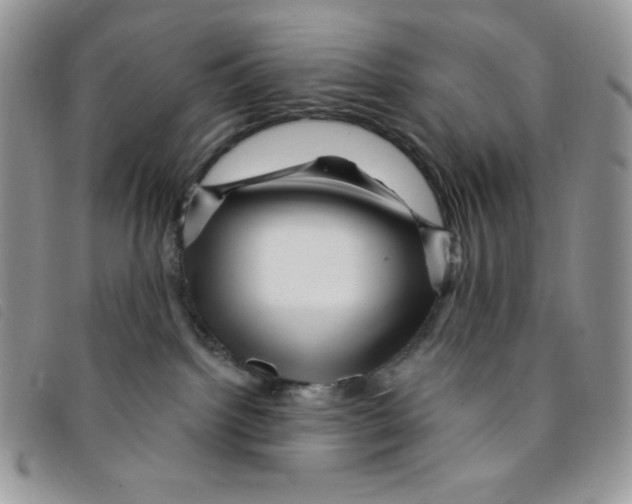 X0000095550092200801111503