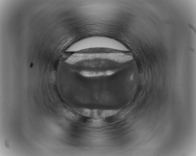 X0000095550093200801111503