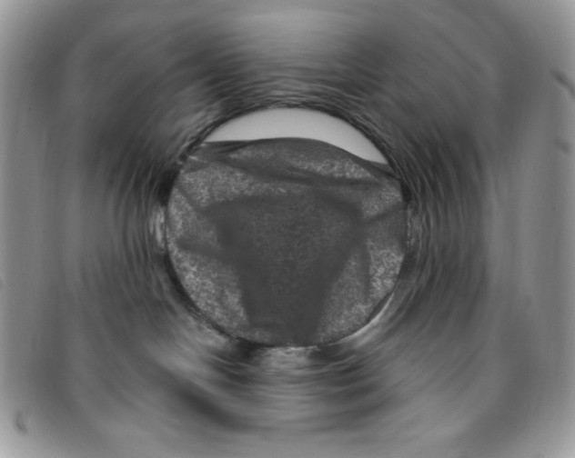 X0000095550094200801111503