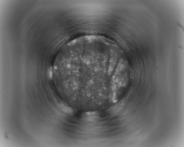 X0000095550095200801111503