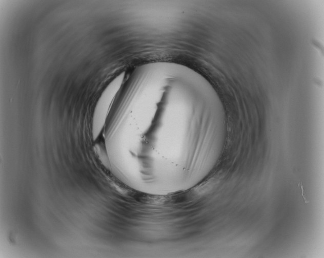 X0000095550096200801111503