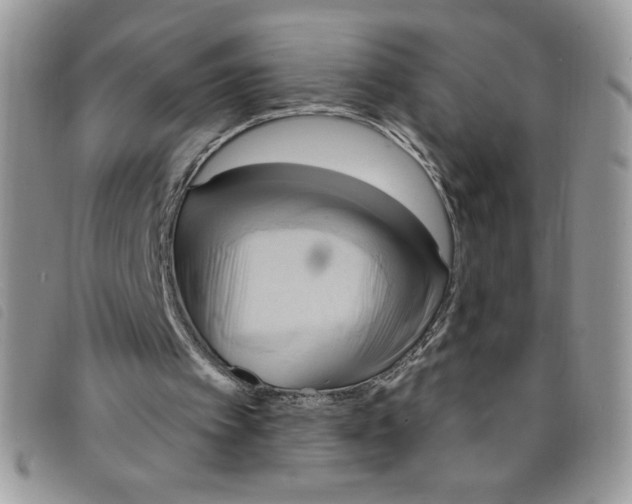 X0000095550097200801111502