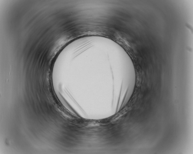 X0000095550098200801111502