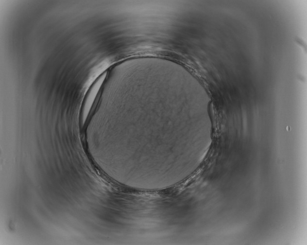 X0000095550099200801111502