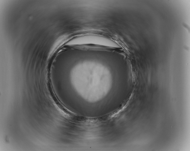 X0000095550101200801111502