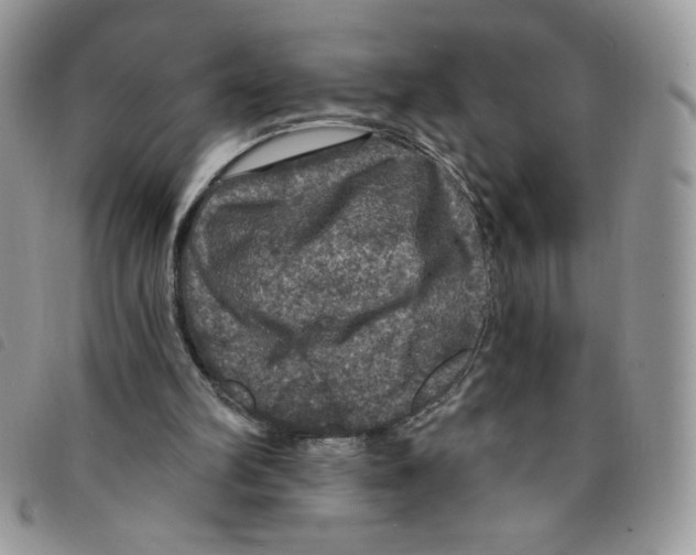 X0000095550102200801111502