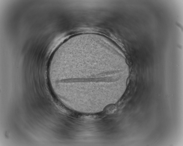 X0000095550103200801111502