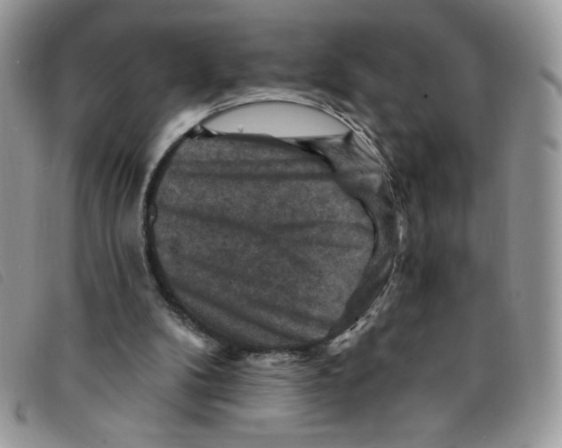 X0000095550104200801111502