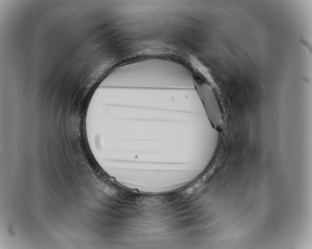 X0000095550106200801111502