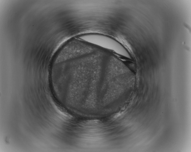 X0000095550108200801111502