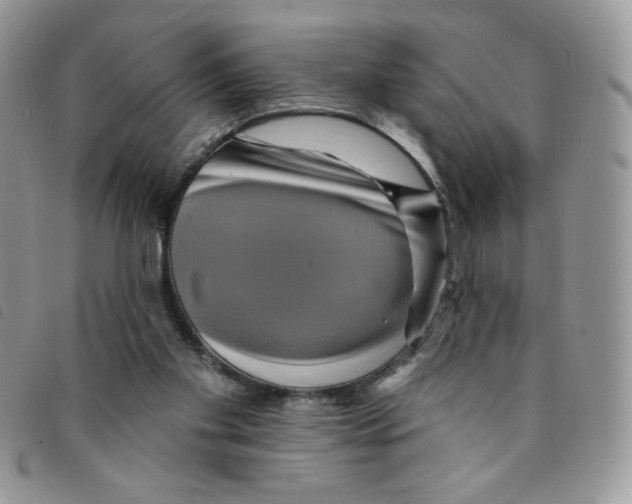 X0000095550109200801111502