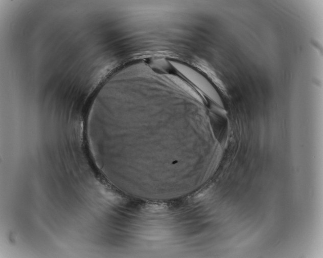 X0000095550110200801111502