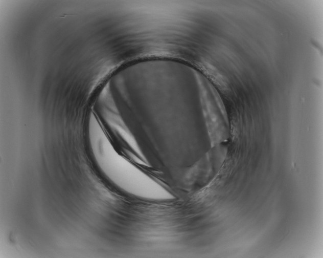 X0000095550112200801111502