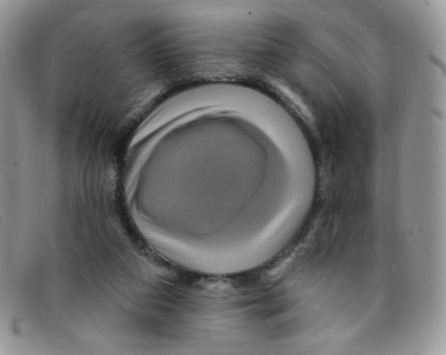 X0000095550113200801111502