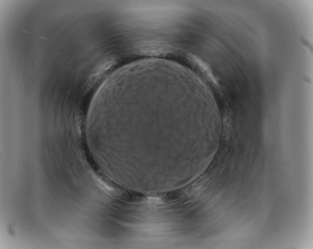 X0000095550114200801111502