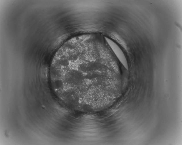 X0000095550115200801111502