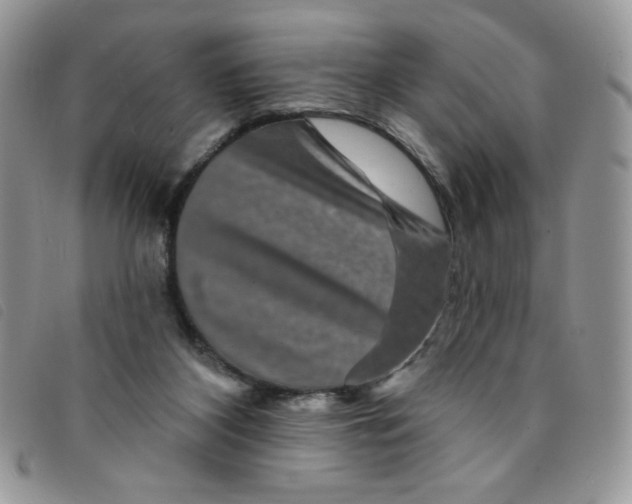 X0000095550116200801111502