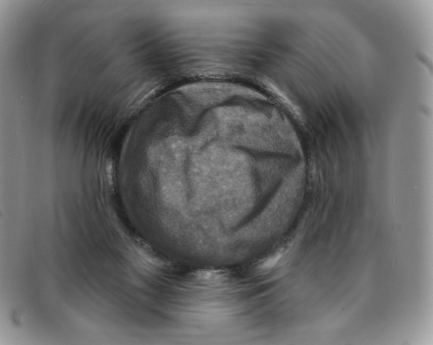 X0000095550117200801111502