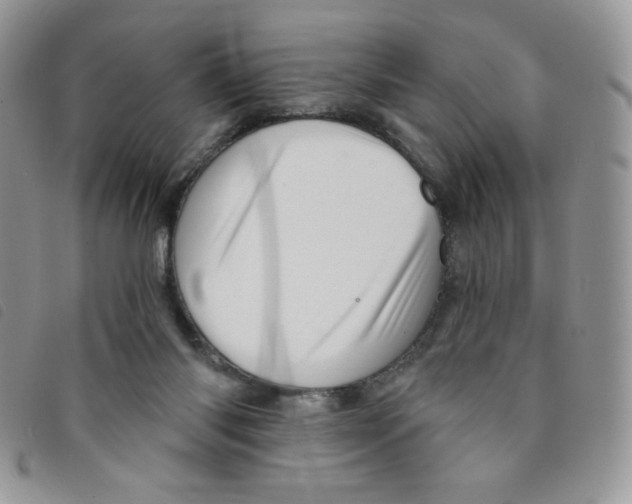 X0000095550118200801111502