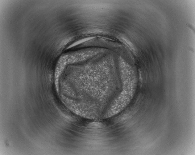 X0000095550119200801111502