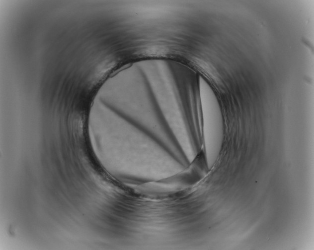 X0000095550120200801111502