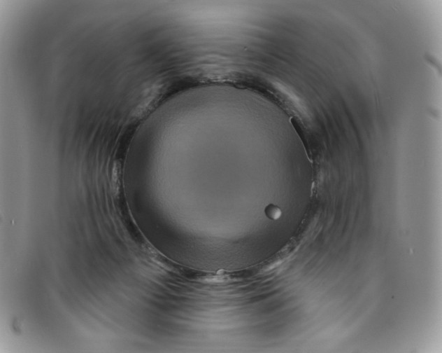 X0000095550121200801111502