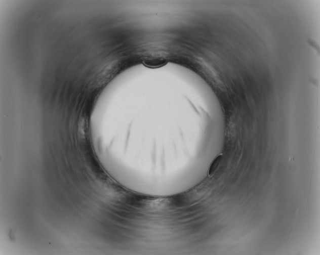 X0000095550122200801111502