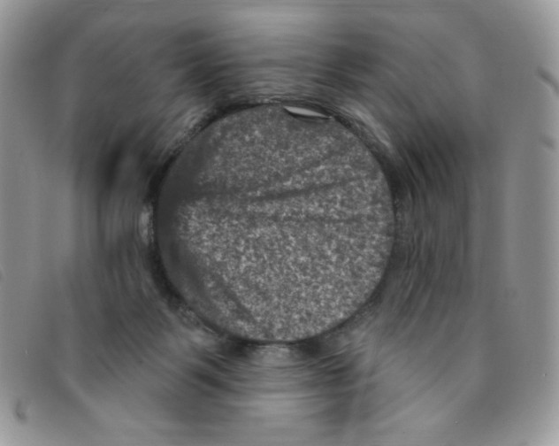 X0000095550123200801111502