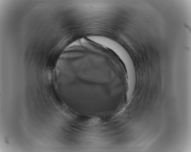 X0000095550124200801111502