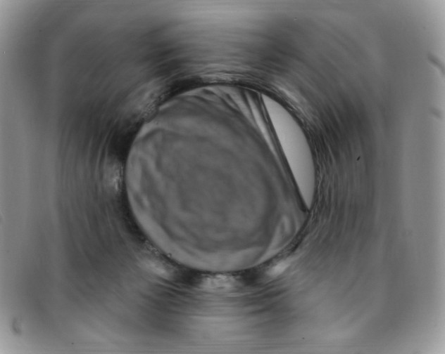 X0000095550125200801111502