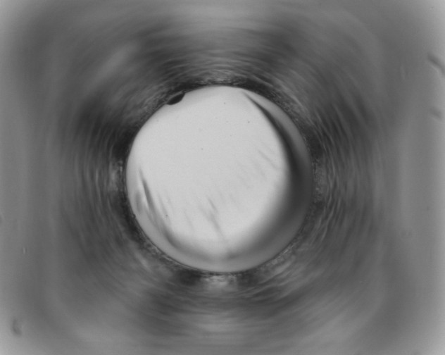 X0000095550126200801111502