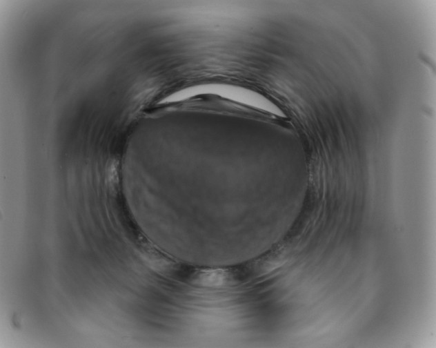 X0000095550127200801111502