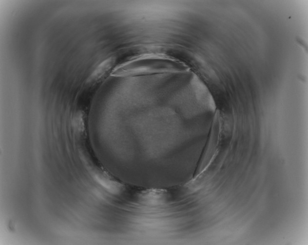 X0000095550128200801111502