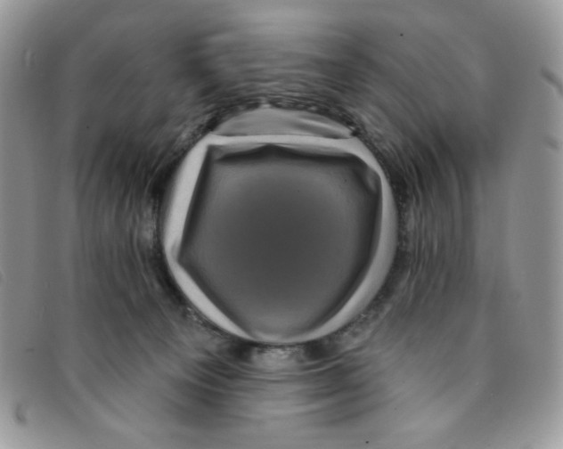 X0000095550129200801111502