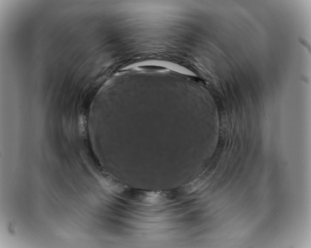 X0000095550130200801111502