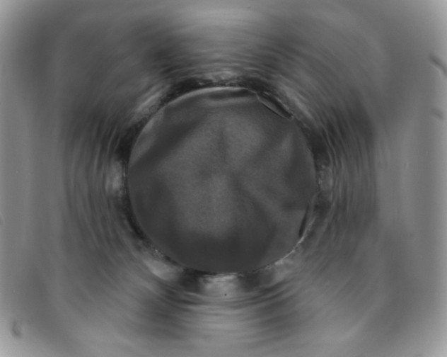 X0000095550132200801111502