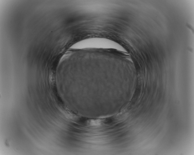 X0000095550134200801111502