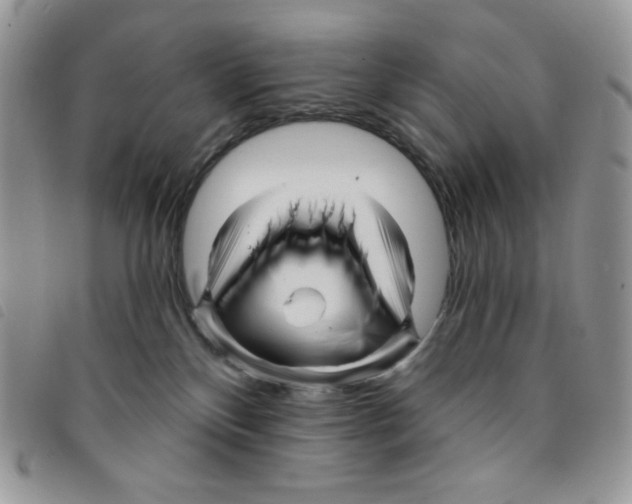 X0000095550136200801111502