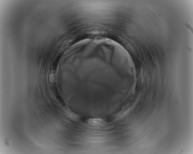 X0000095550137200801111502